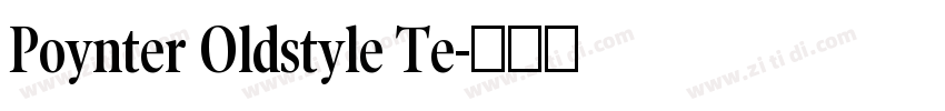 Poynter Oldstyle Te字体转换
